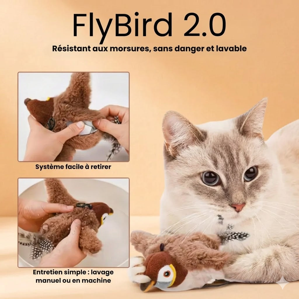 FlyBird 2.0 L'oiseau volant