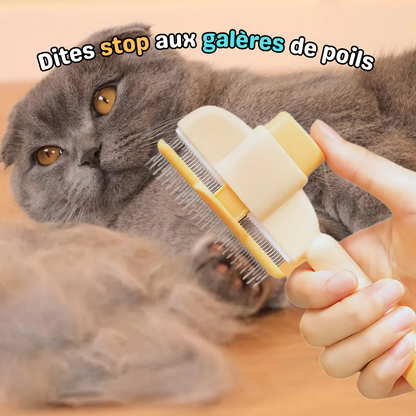 Brosse anti-poil pour chat