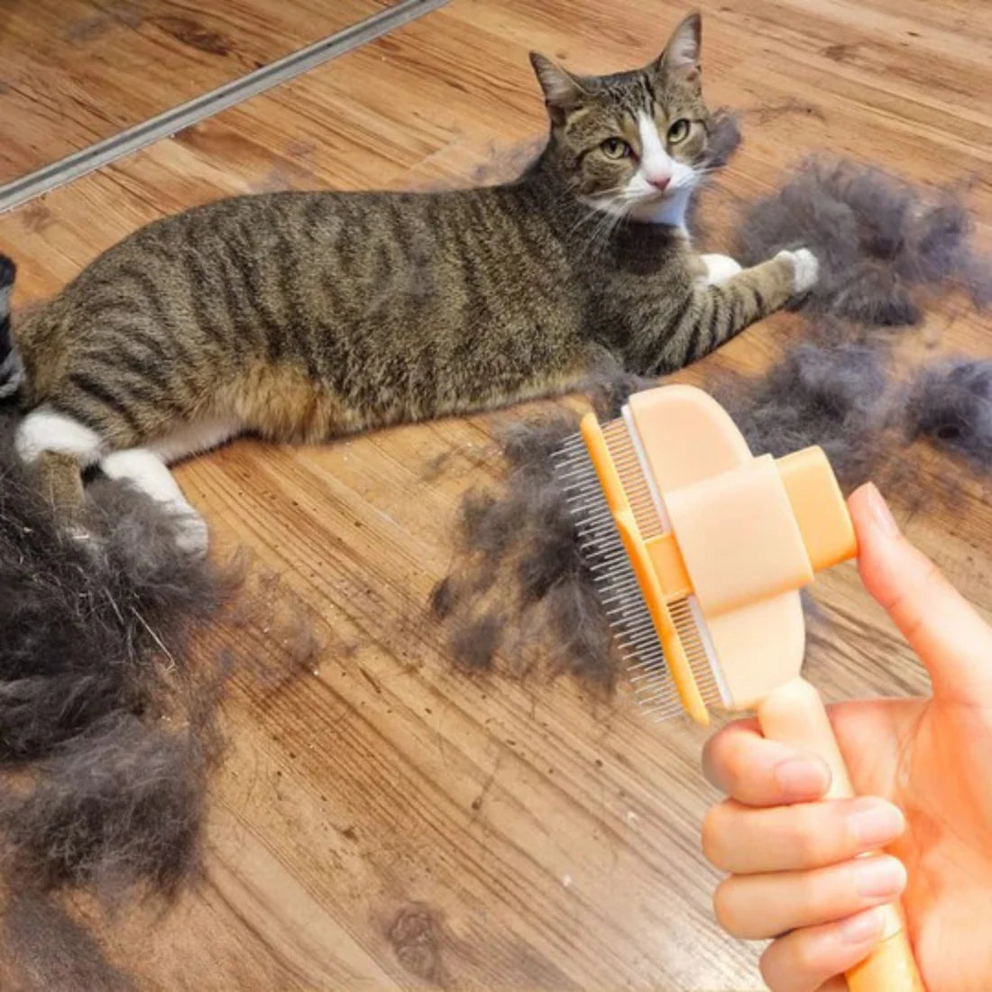 Brosse anti-poil pour chat