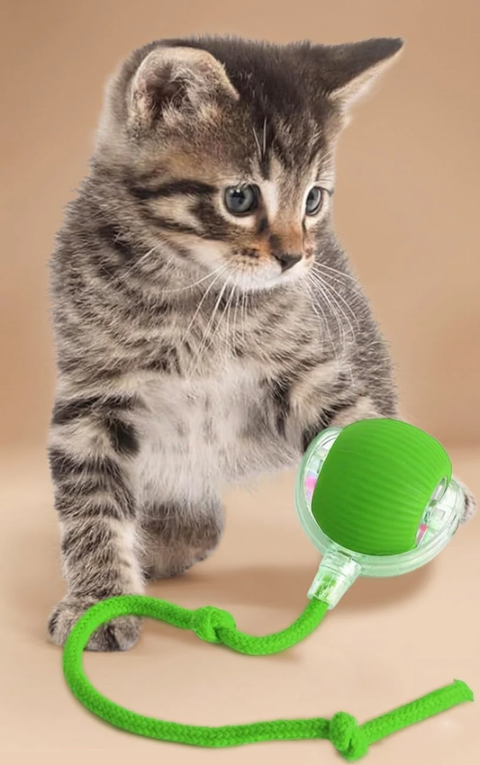 CrazyBall™ - La Balle qui rend fou votre chat !