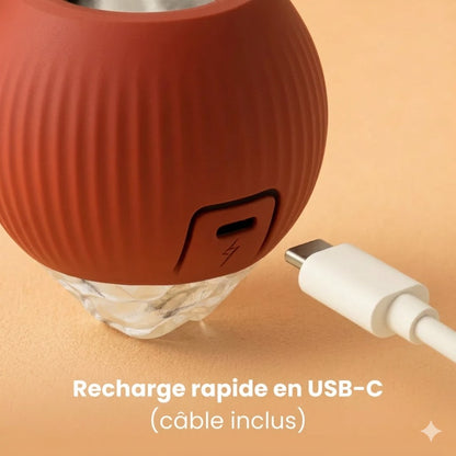 CrazyBall™ - La Balle qui rend fou votre chat !